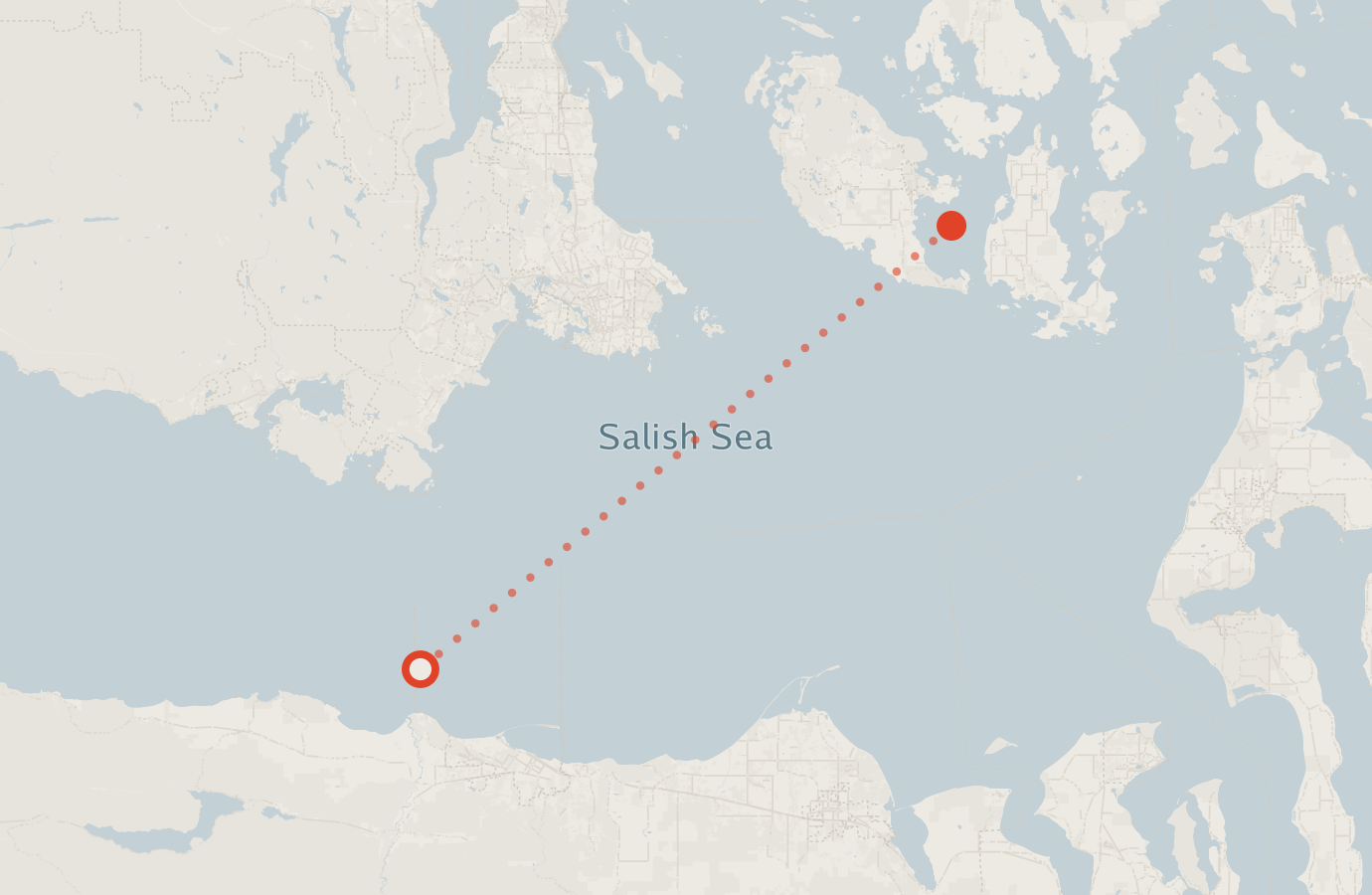 Activity map — real sighting points on an OpenStreetMap basemap