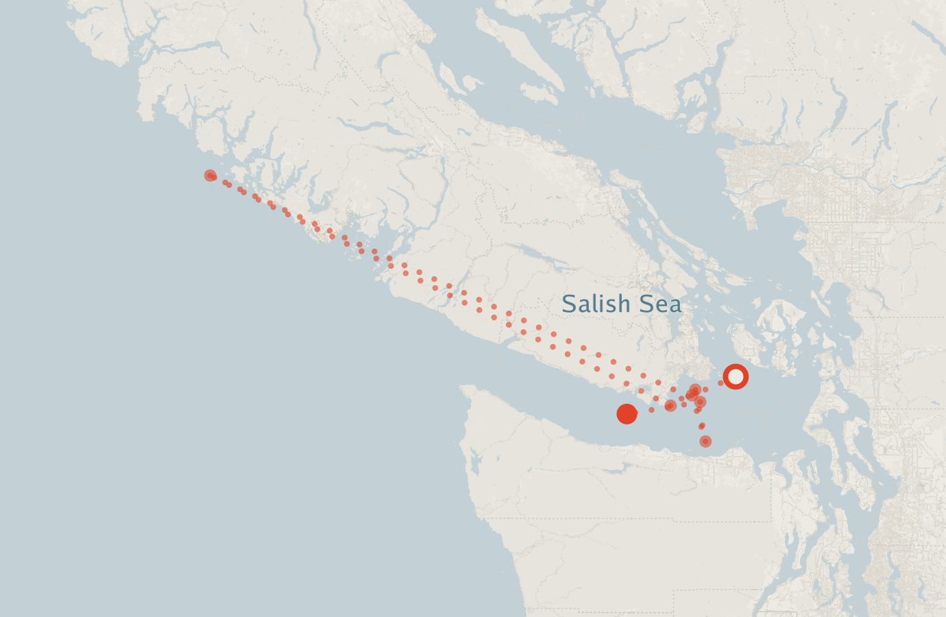Activity map — real sighting points on an OpenStreetMap basemap