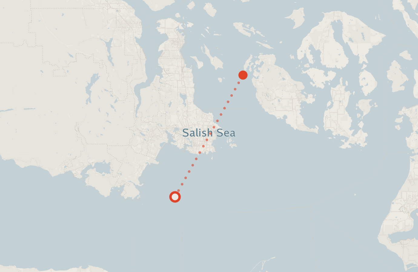 Activity map — real sighting points on an OpenStreetMap basemap