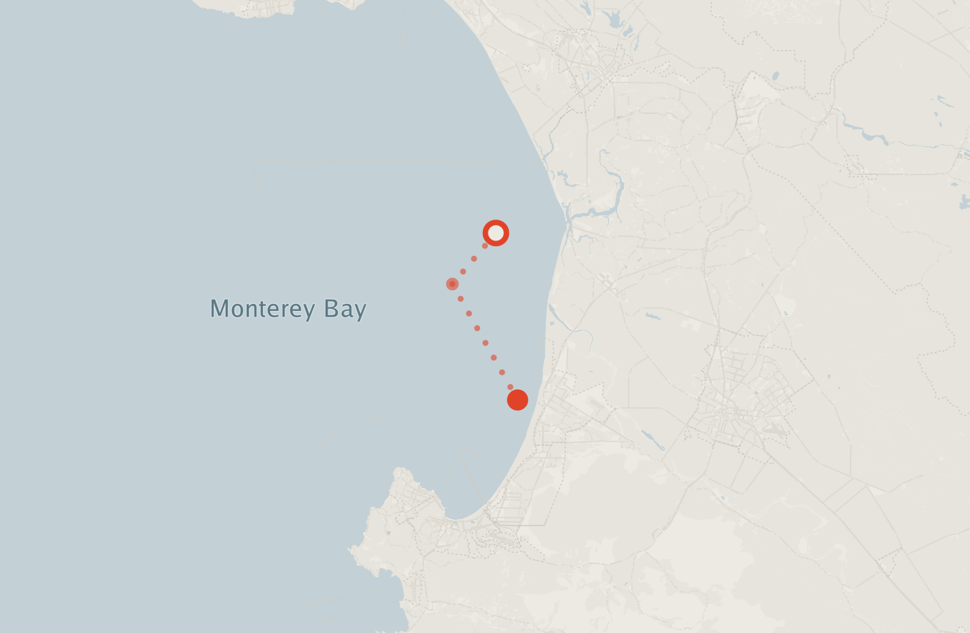 Activity map — real sighting points on an OpenStreetMap basemap