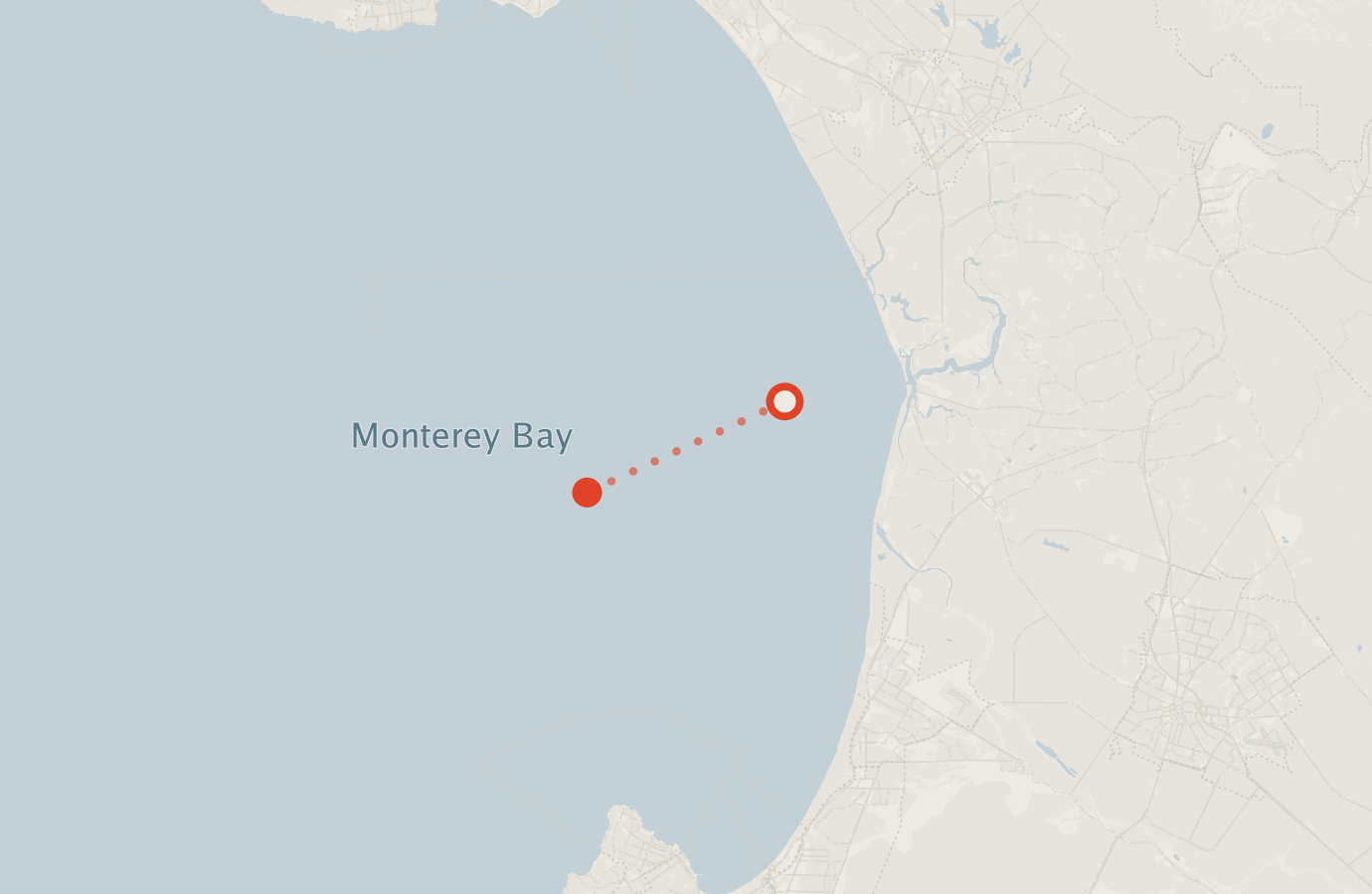 Activity map — real sighting points on an OpenStreetMap basemap