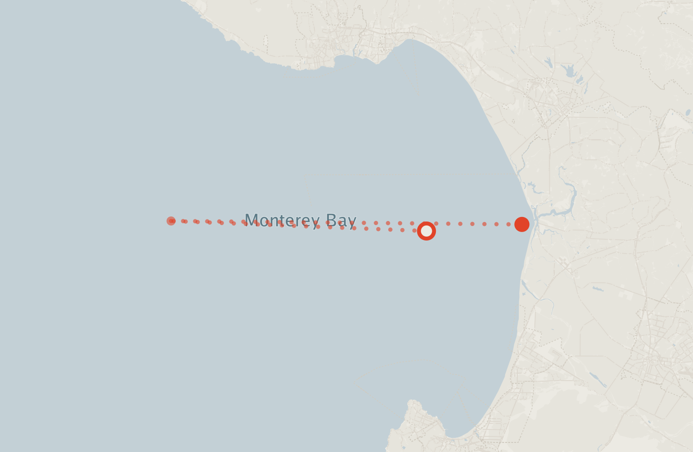 Activity map — real sighting points on an OpenStreetMap basemap