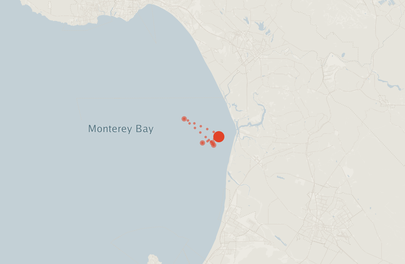 Activity map — real sighting points on an OpenStreetMap basemap