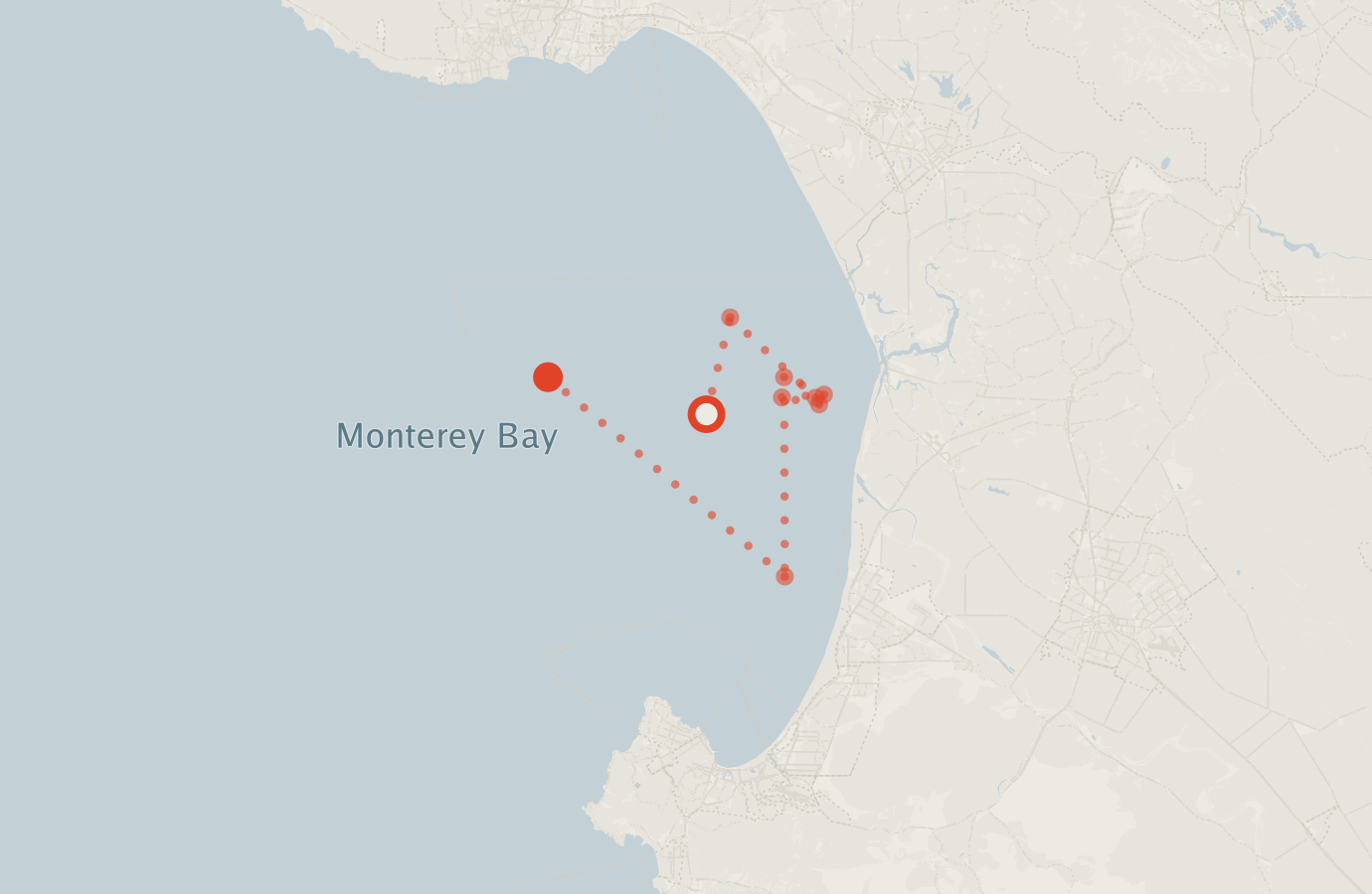 Activity map — real sighting points on an OpenStreetMap basemap