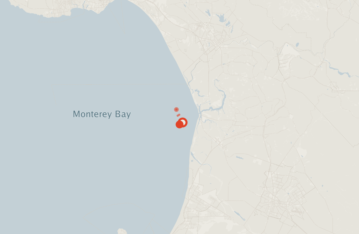 Activity map — real sighting points on an OpenStreetMap basemap