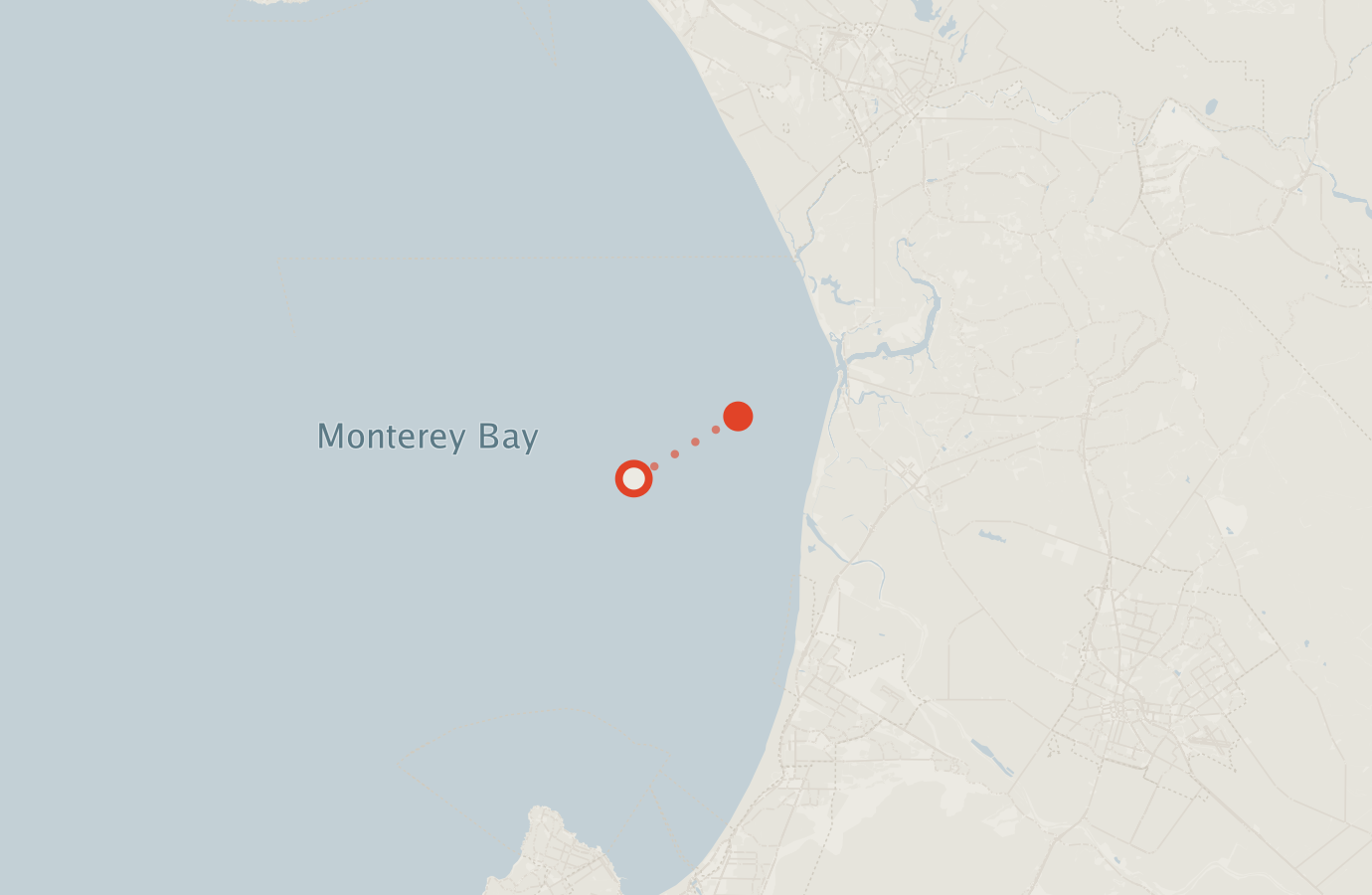 Activity map — real sighting points on an OpenStreetMap basemap