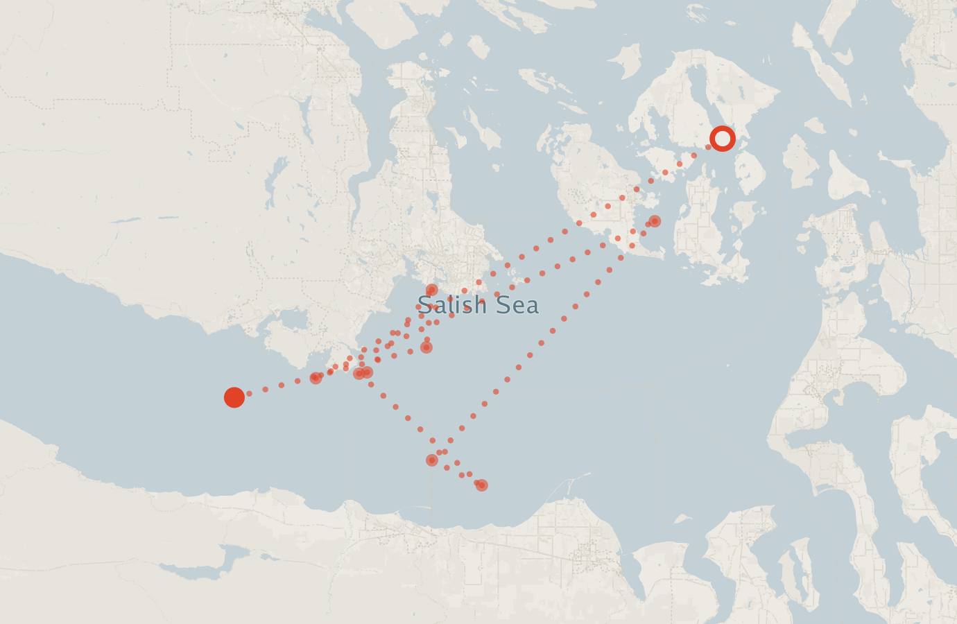 Activity map — real sighting points on an OpenStreetMap basemap