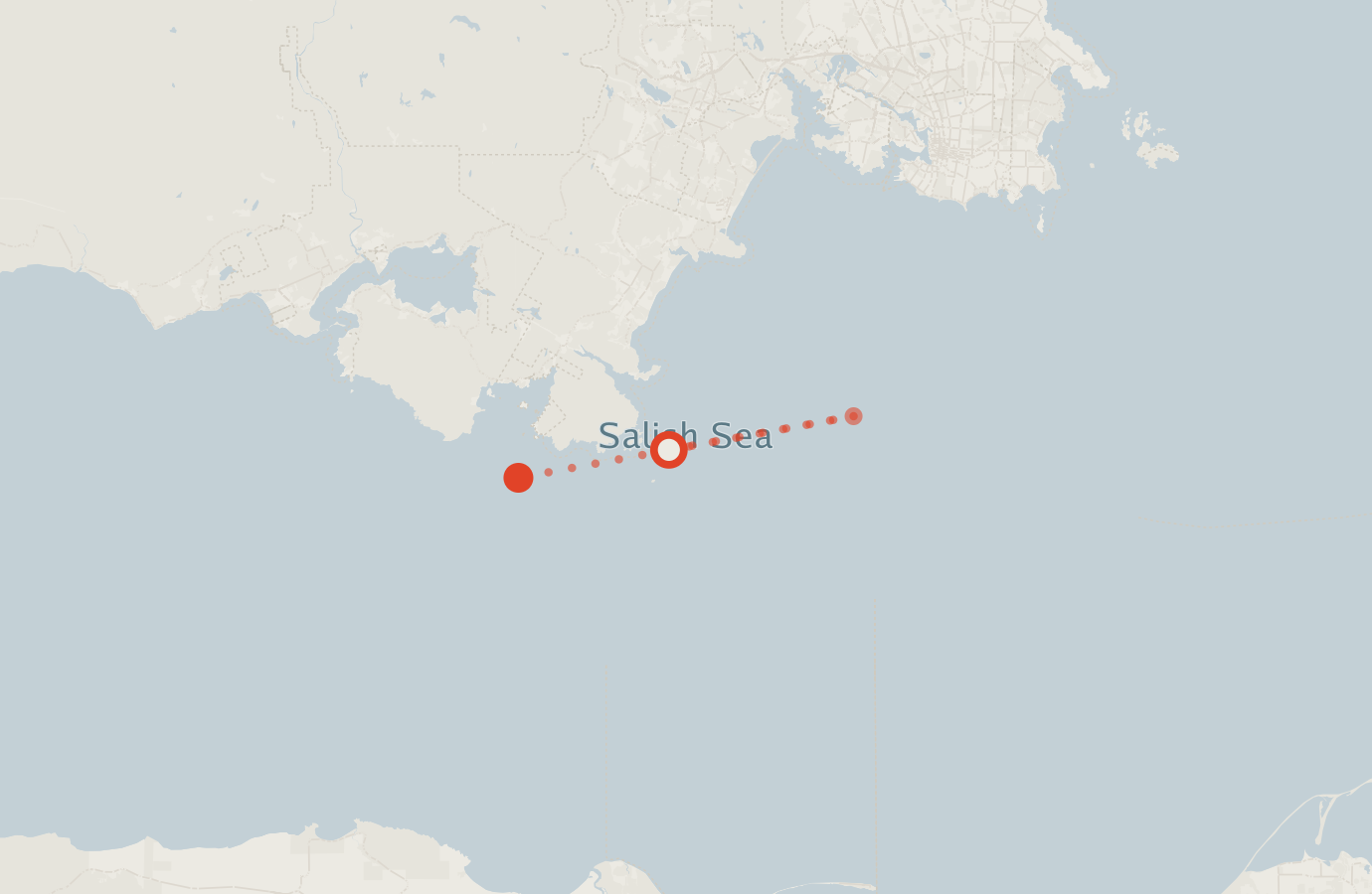 Activity map — real sighting points on an OpenStreetMap basemap