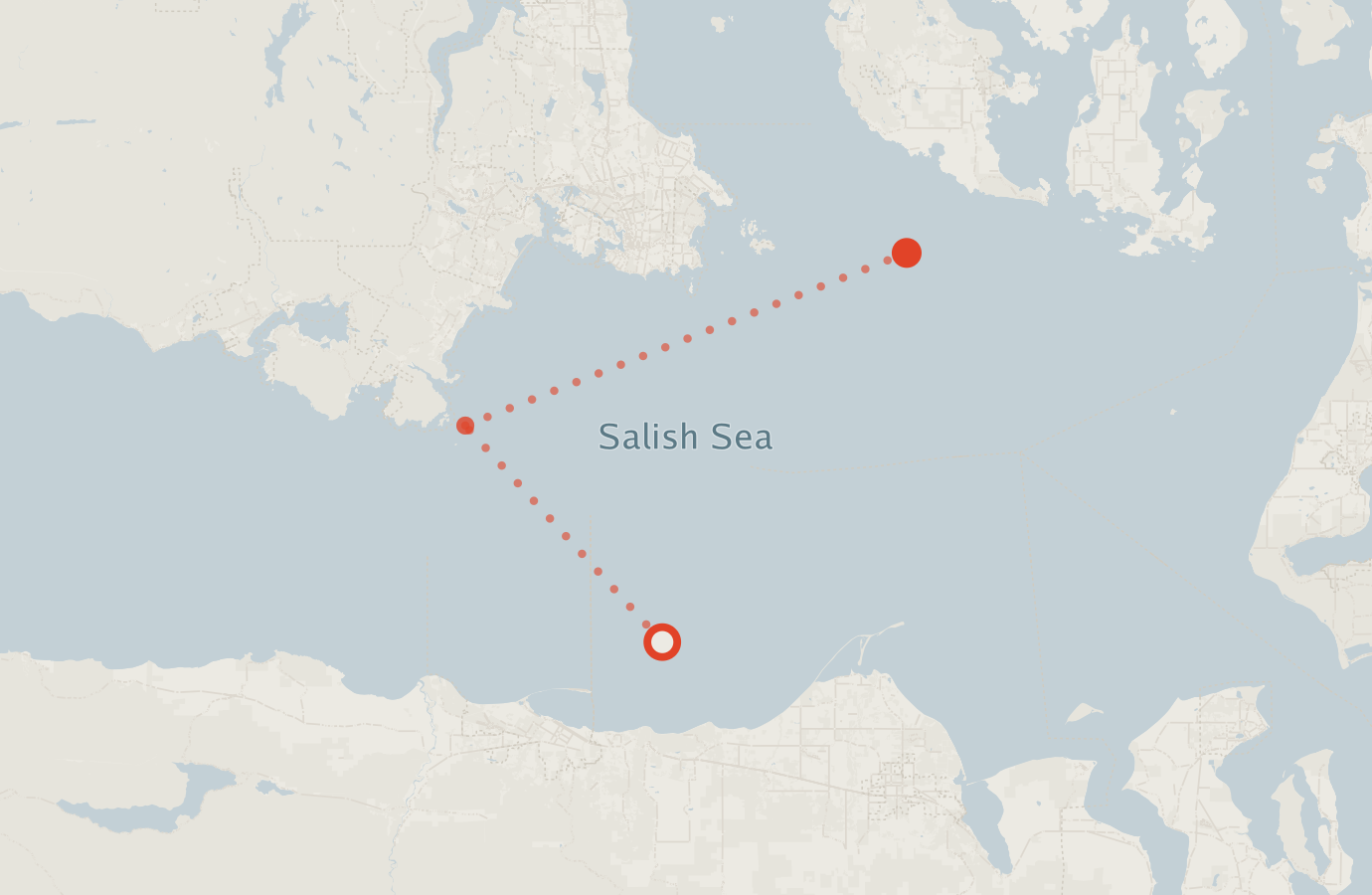 Activity map — real sighting points on an OpenStreetMap basemap