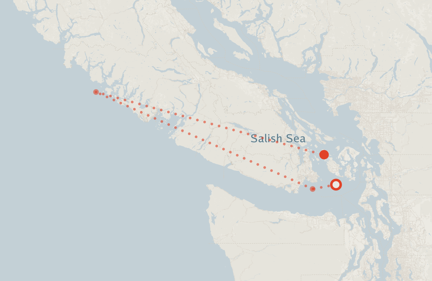 Activity map — real sighting points on an OpenStreetMap basemap
