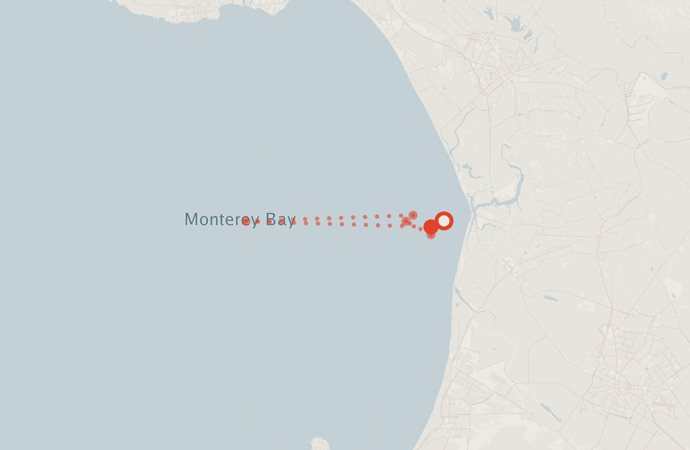 Activity map — real sighting points on an OpenStreetMap basemap