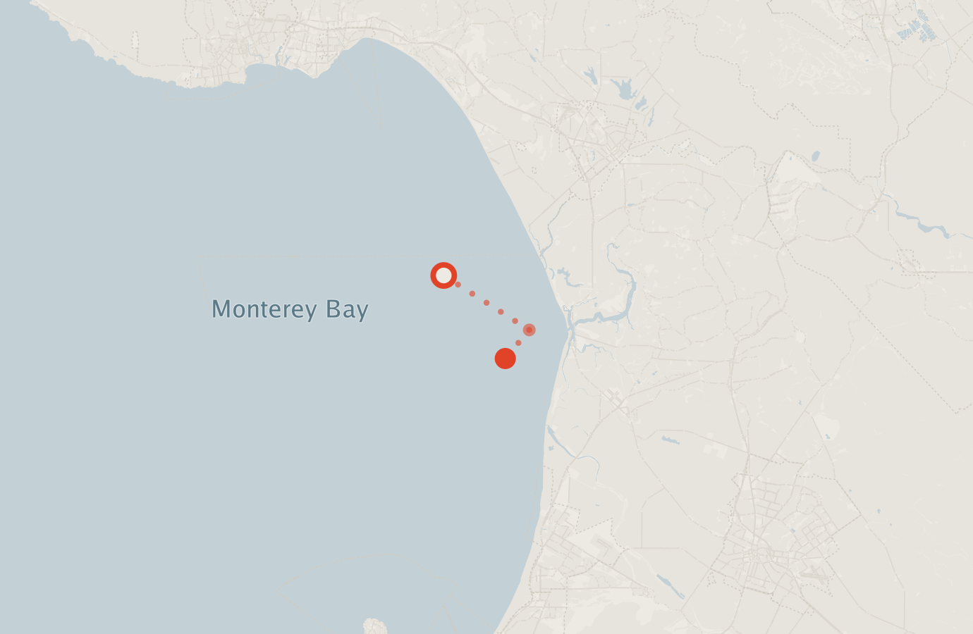 Activity map — real sighting points on an OpenStreetMap basemap