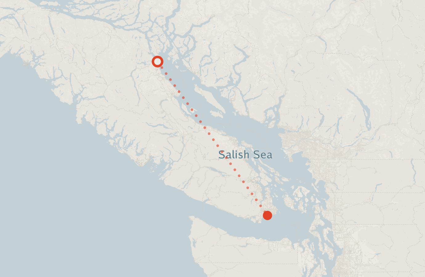 Activity map — real sighting points on an OpenStreetMap basemap