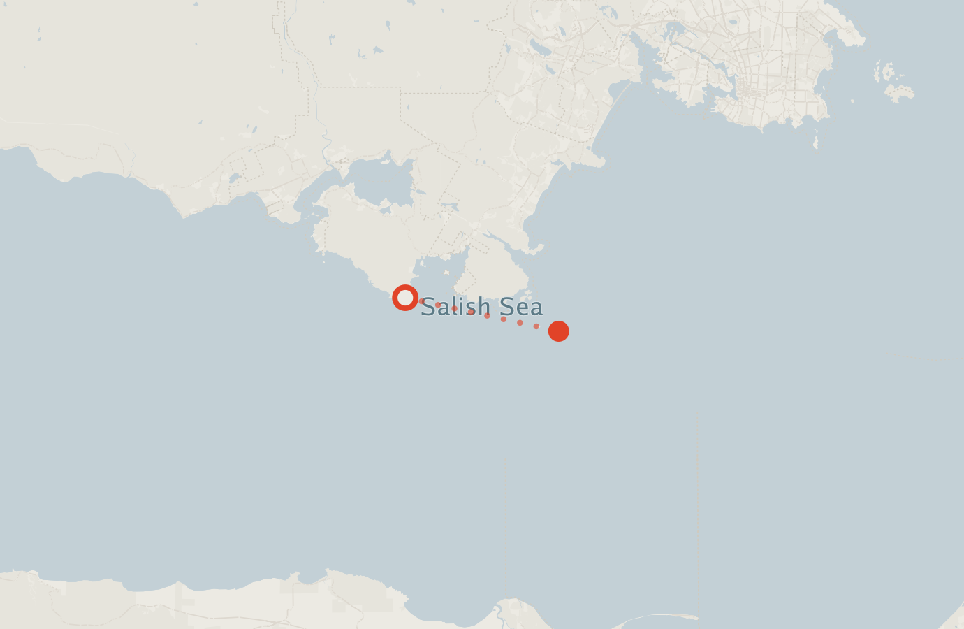 Activity map — real sighting points on an OpenStreetMap basemap