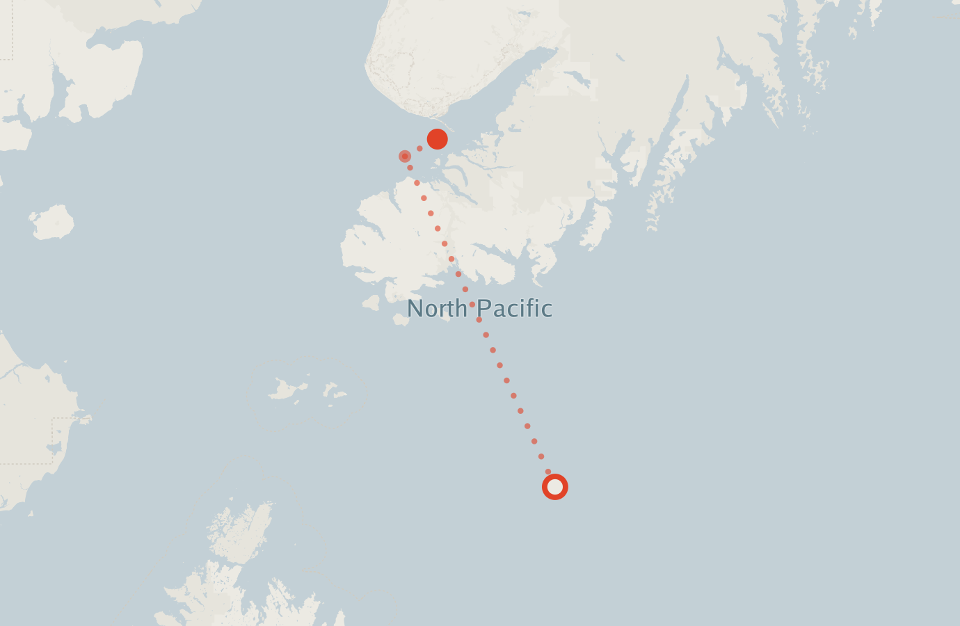 Activity map — real sighting points on an OpenStreetMap basemap