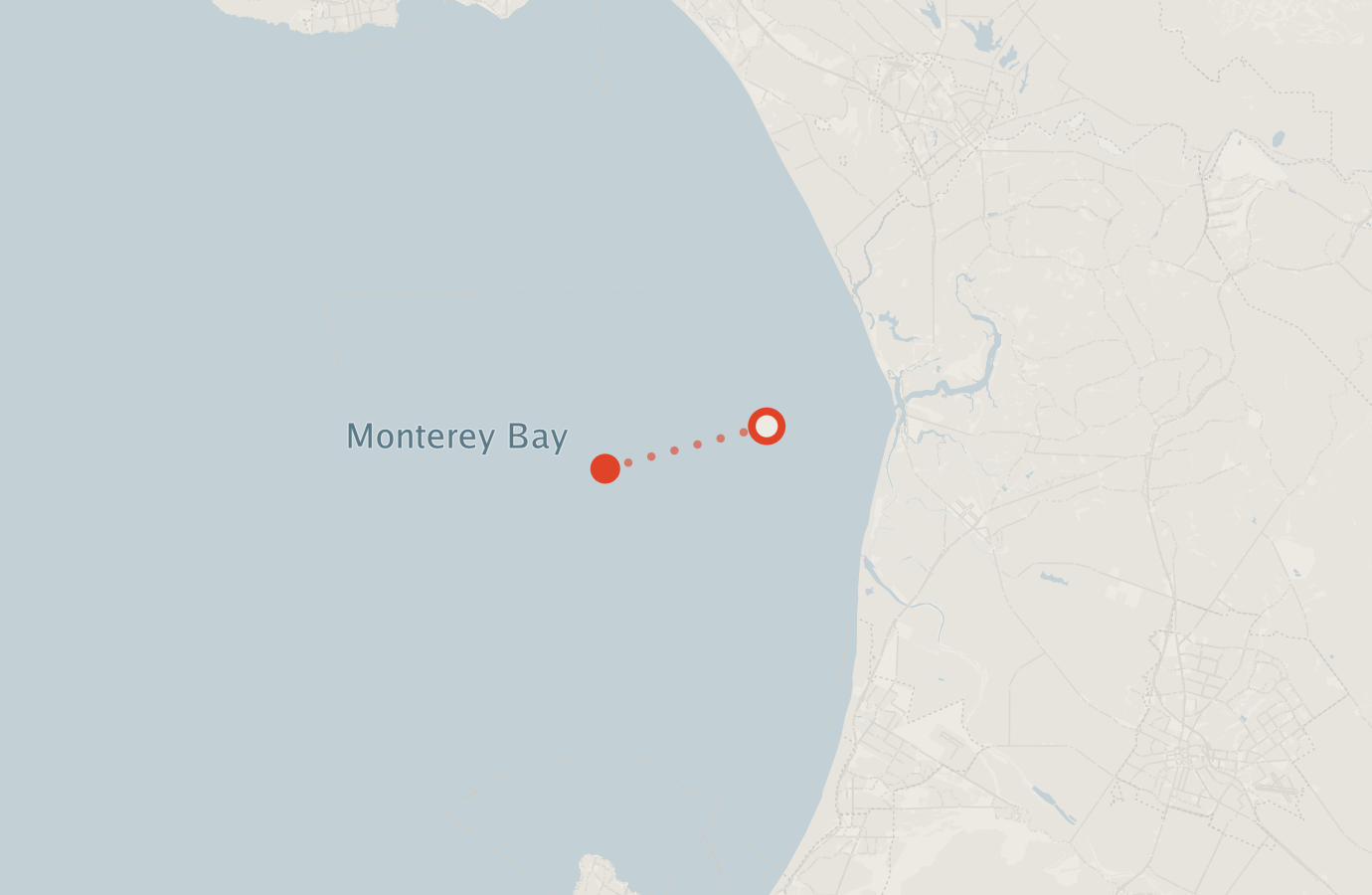 Activity map — real sighting points on an OpenStreetMap basemap