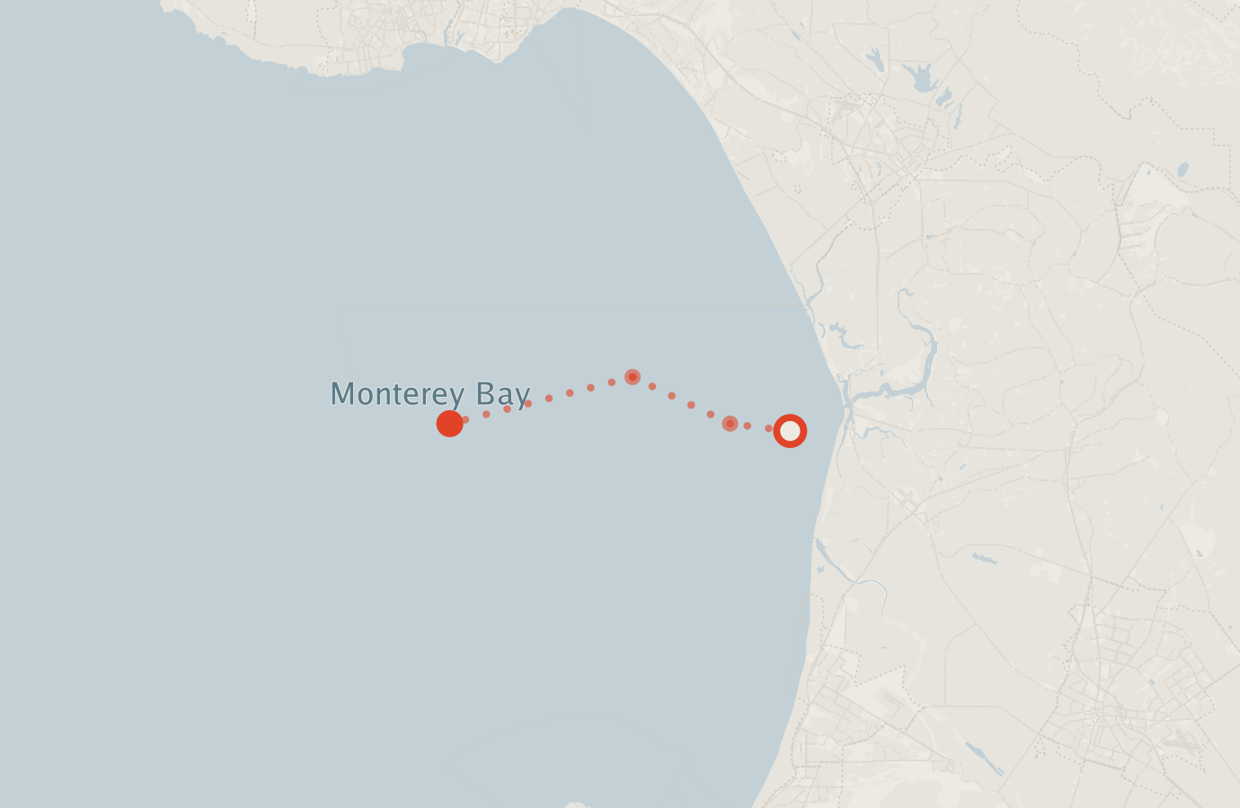 Activity map — real sighting points on an OpenStreetMap basemap