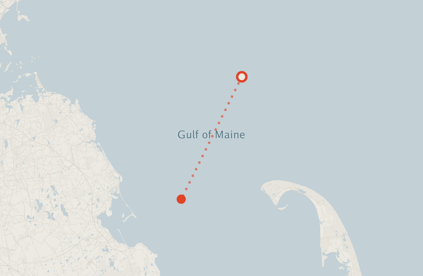 Activity map — real sighting points on an OpenStreetMap basemap