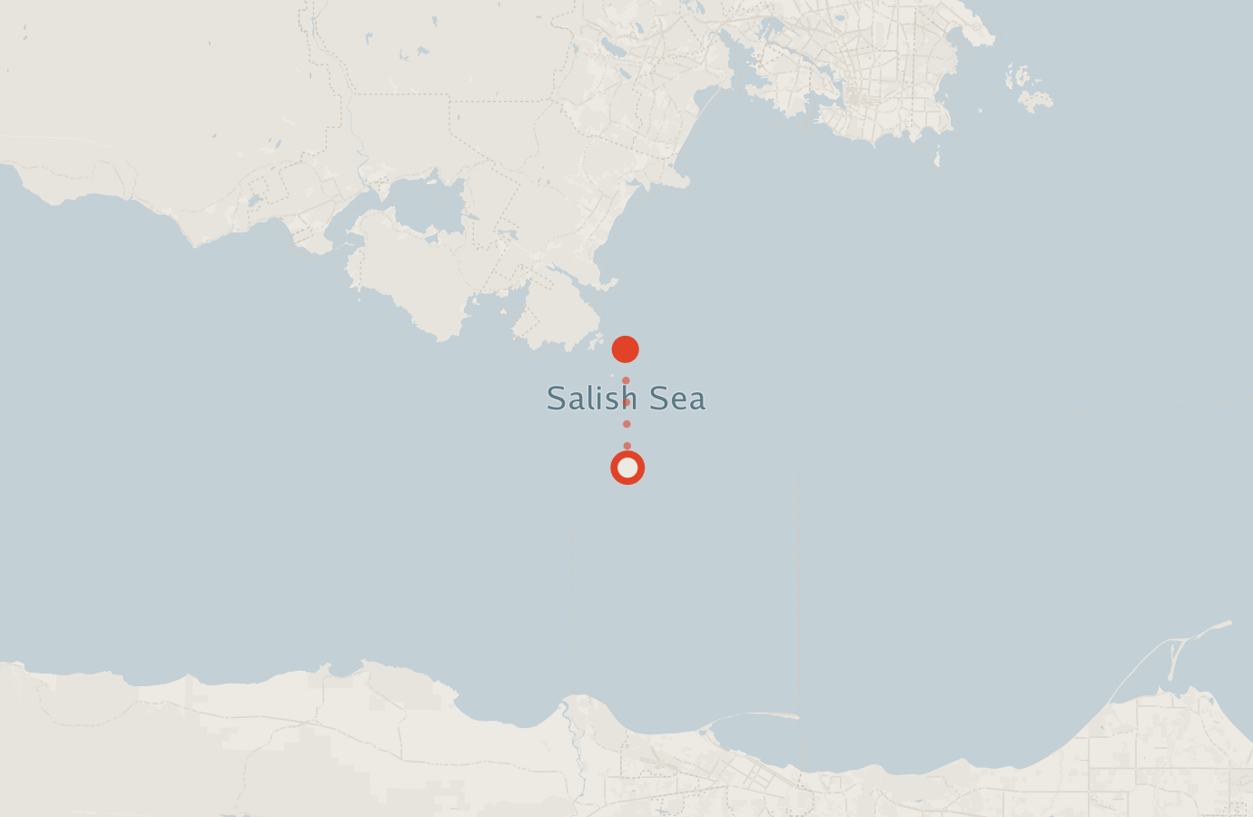 Activity map — real sighting points on an OpenStreetMap basemap
