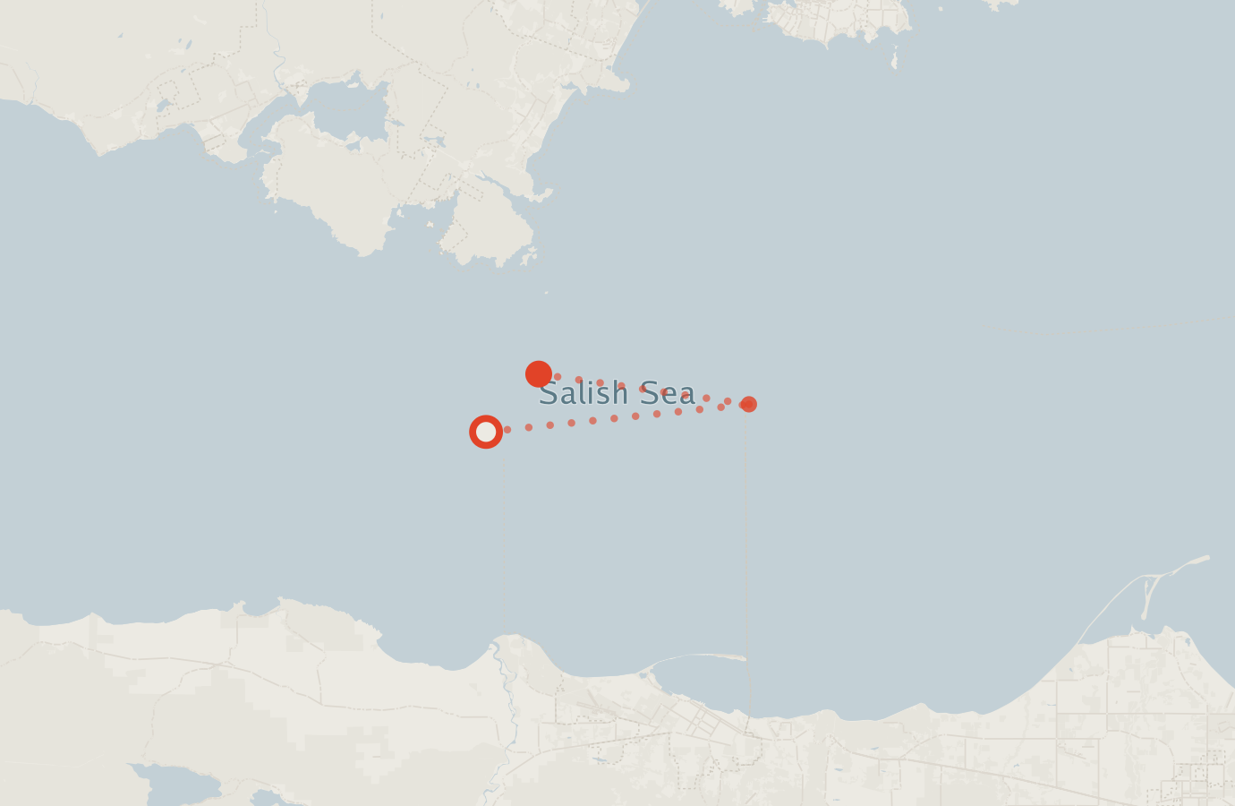 Activity map — real sighting points on an OpenStreetMap basemap