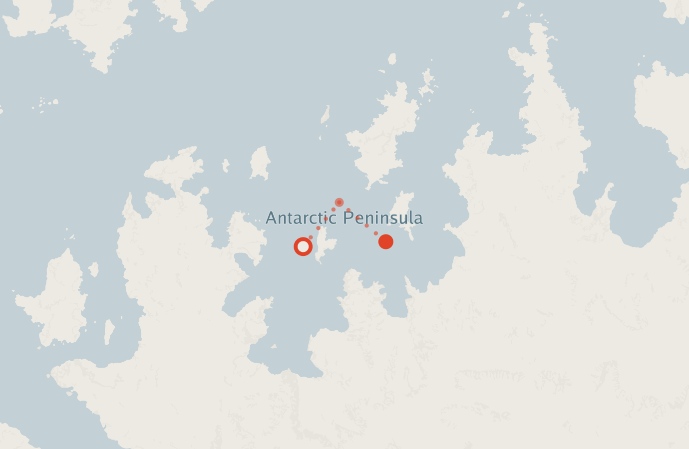 Activity map — real sighting points on an OpenStreetMap basemap