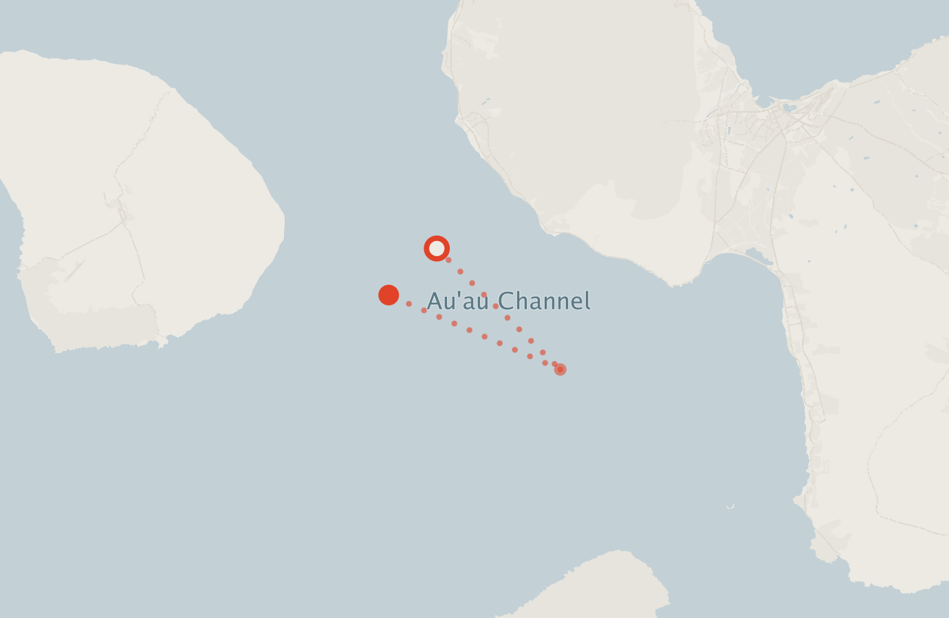Activity map — real sighting points on an OpenStreetMap basemap