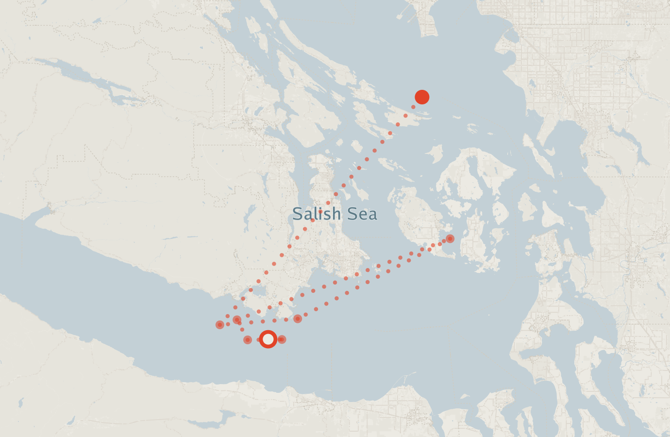 Activity map — real sighting points on an OpenStreetMap basemap