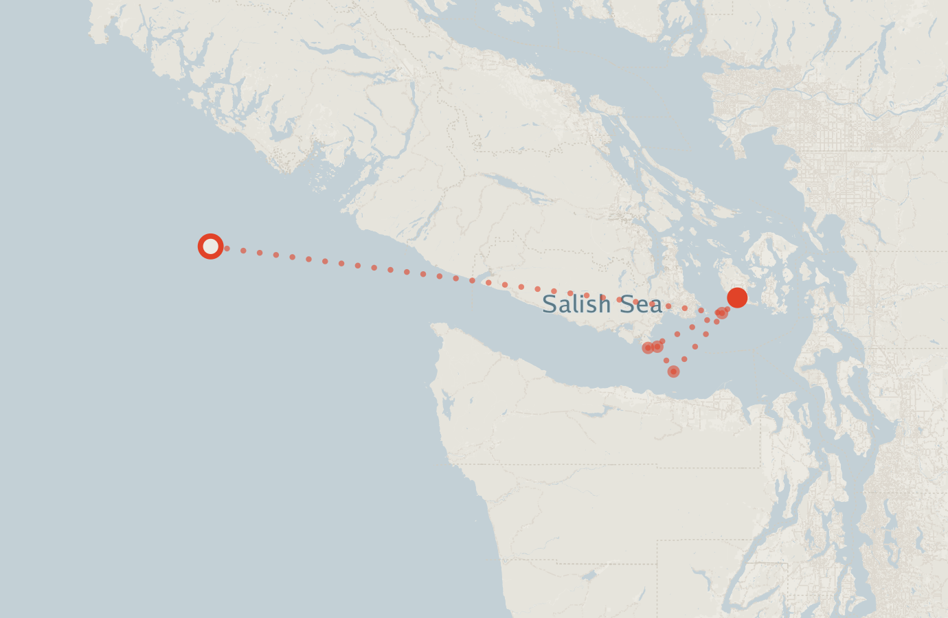 Activity map — real sighting points on an OpenStreetMap basemap