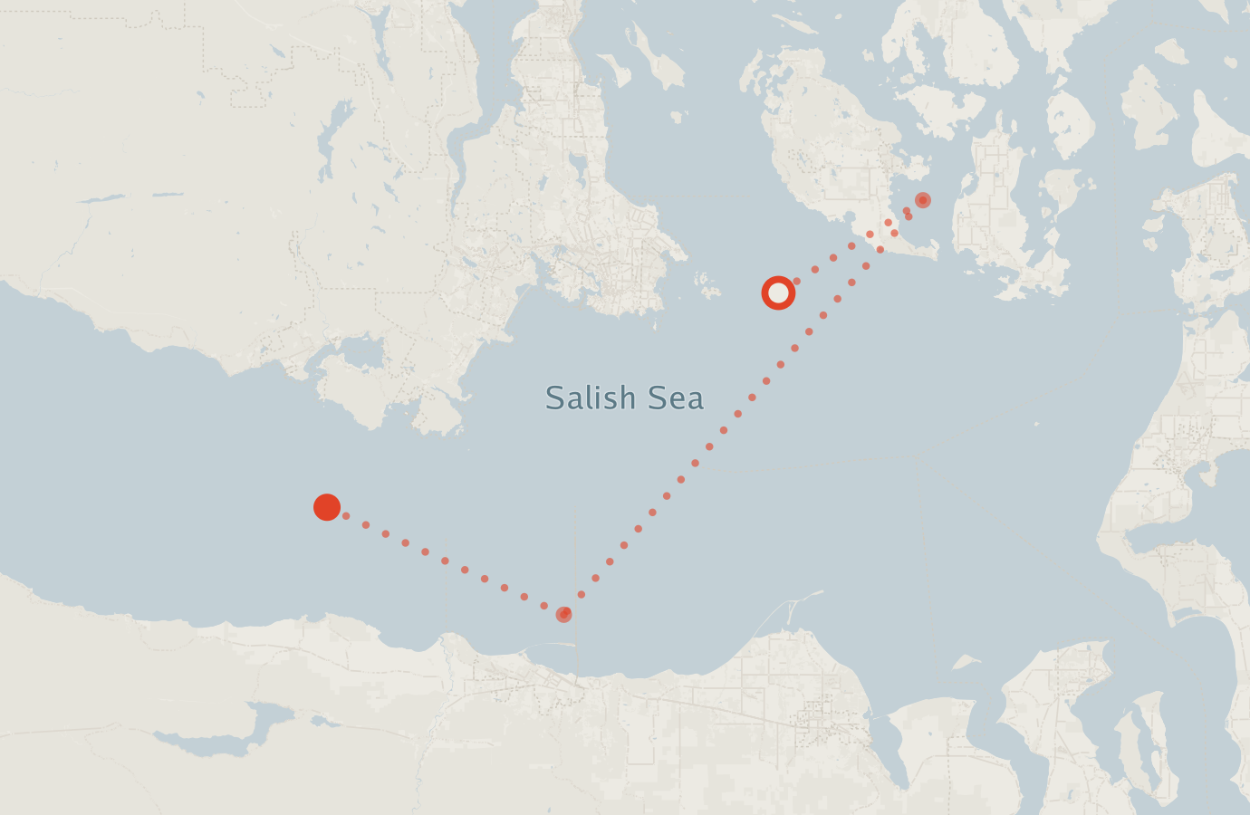Activity map — real sighting points on an OpenStreetMap basemap