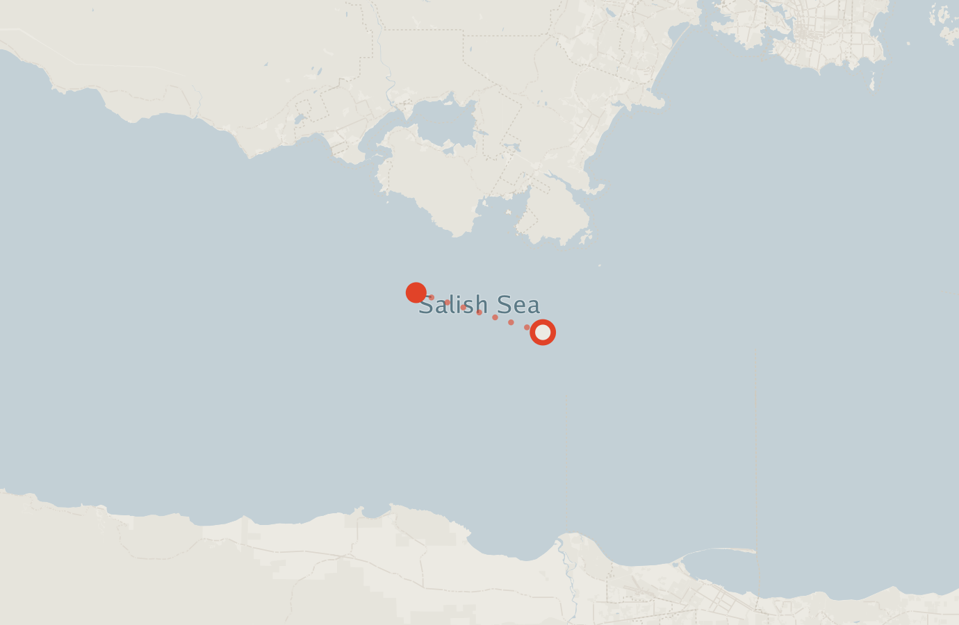 Activity map — real sighting points on an OpenStreetMap basemap