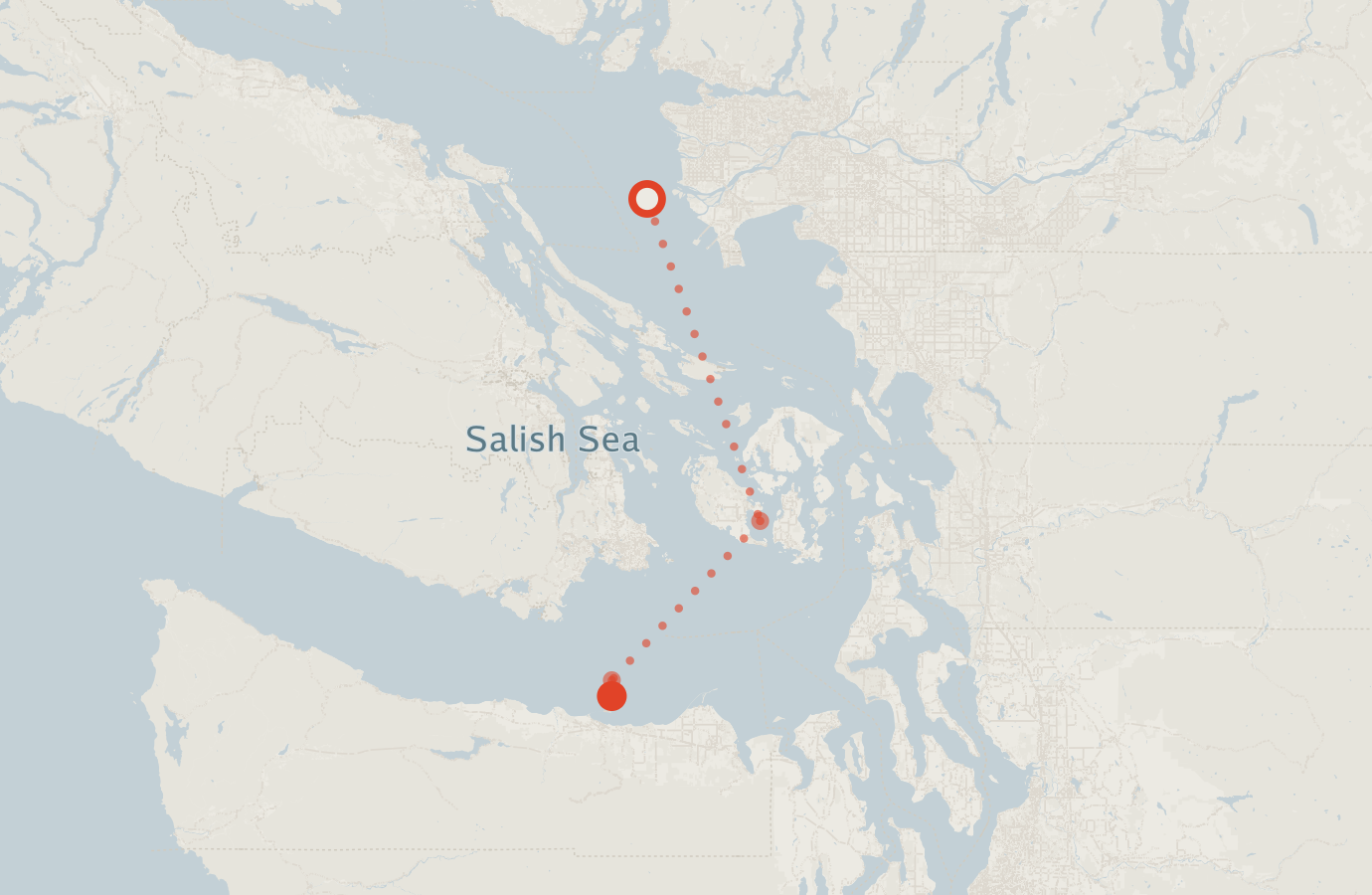 Activity map — real sighting points on an OpenStreetMap basemap