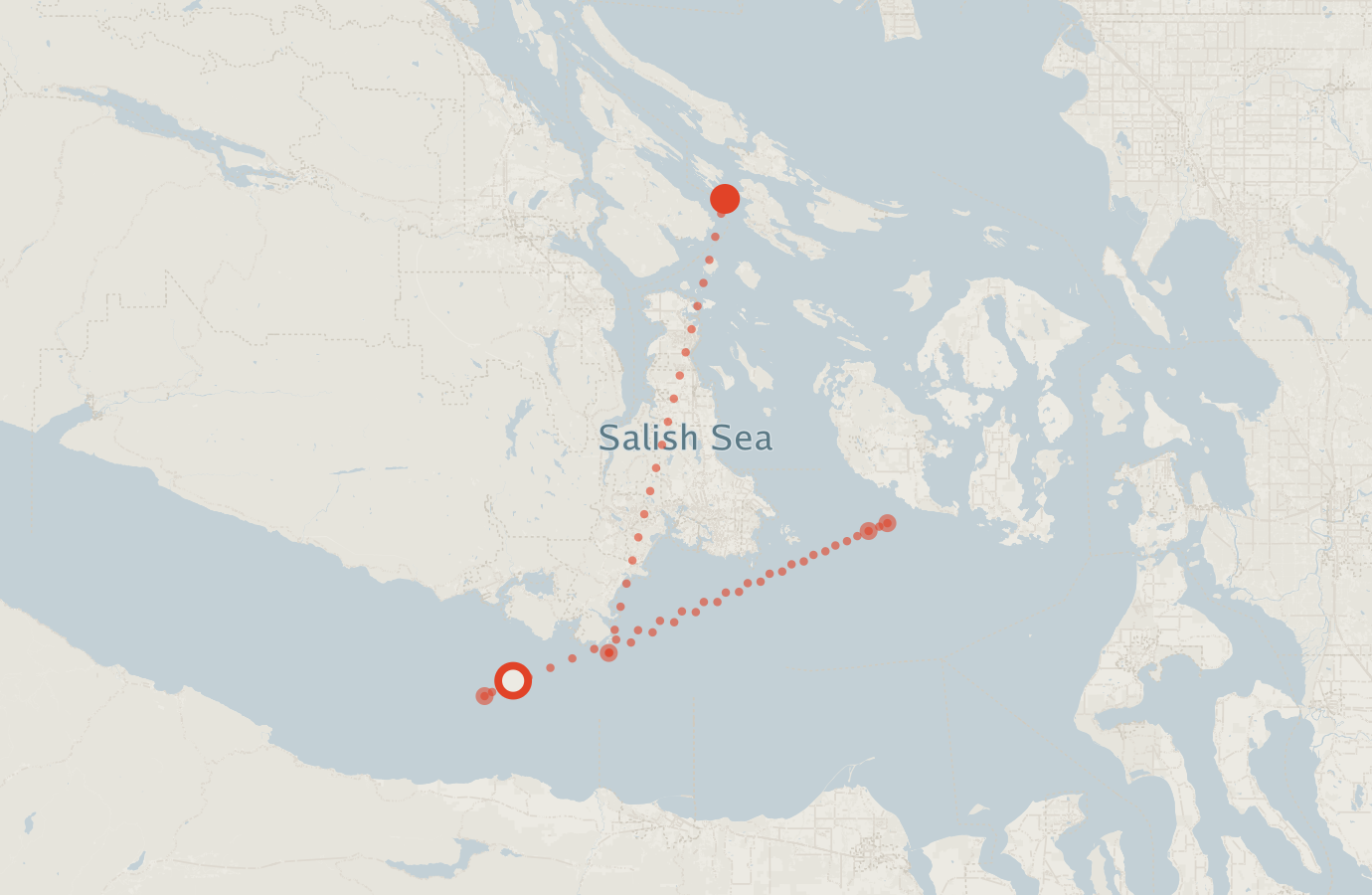 Activity map — real sighting points on an OpenStreetMap basemap