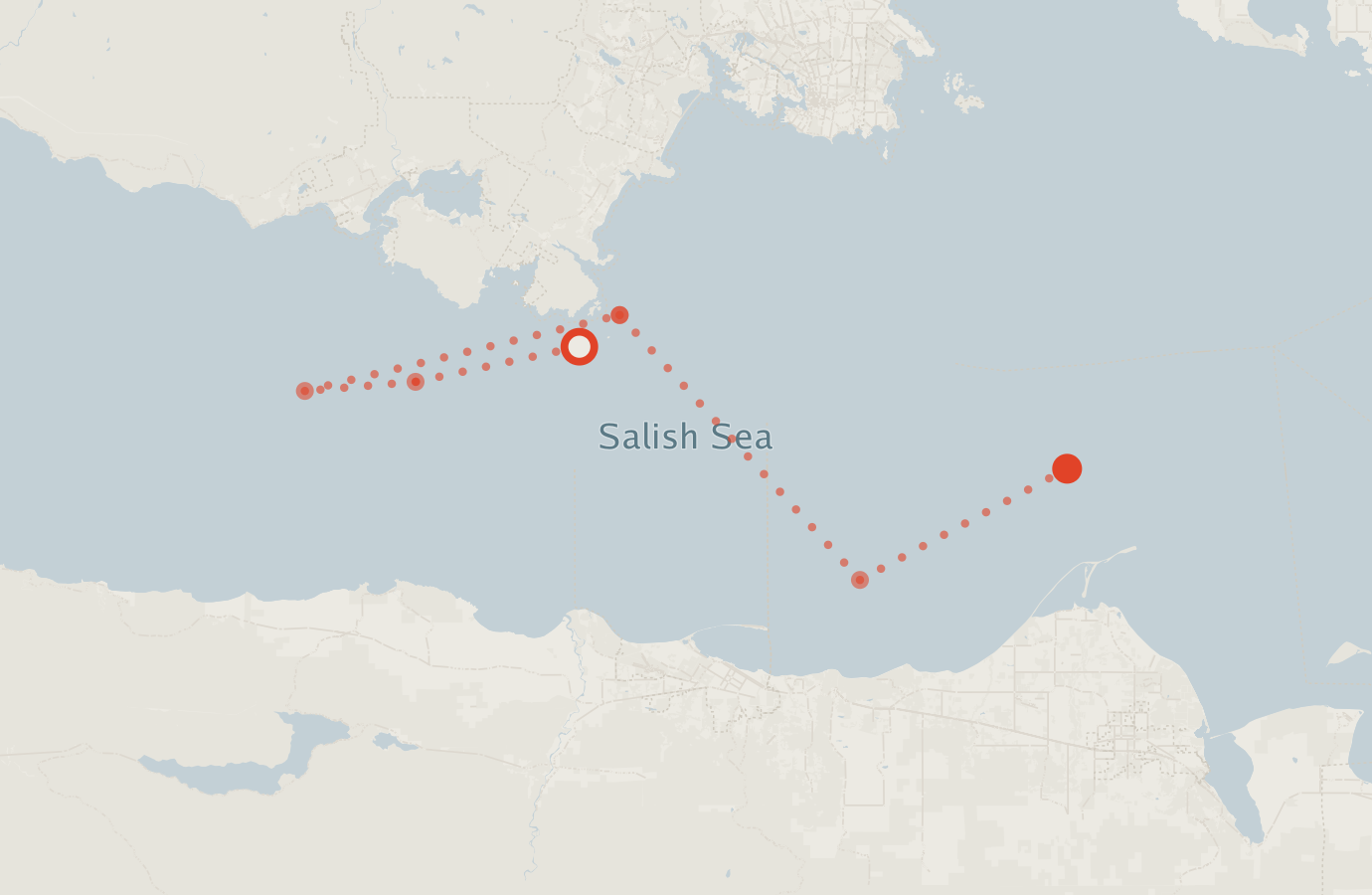 Activity map — real sighting points on an OpenStreetMap basemap