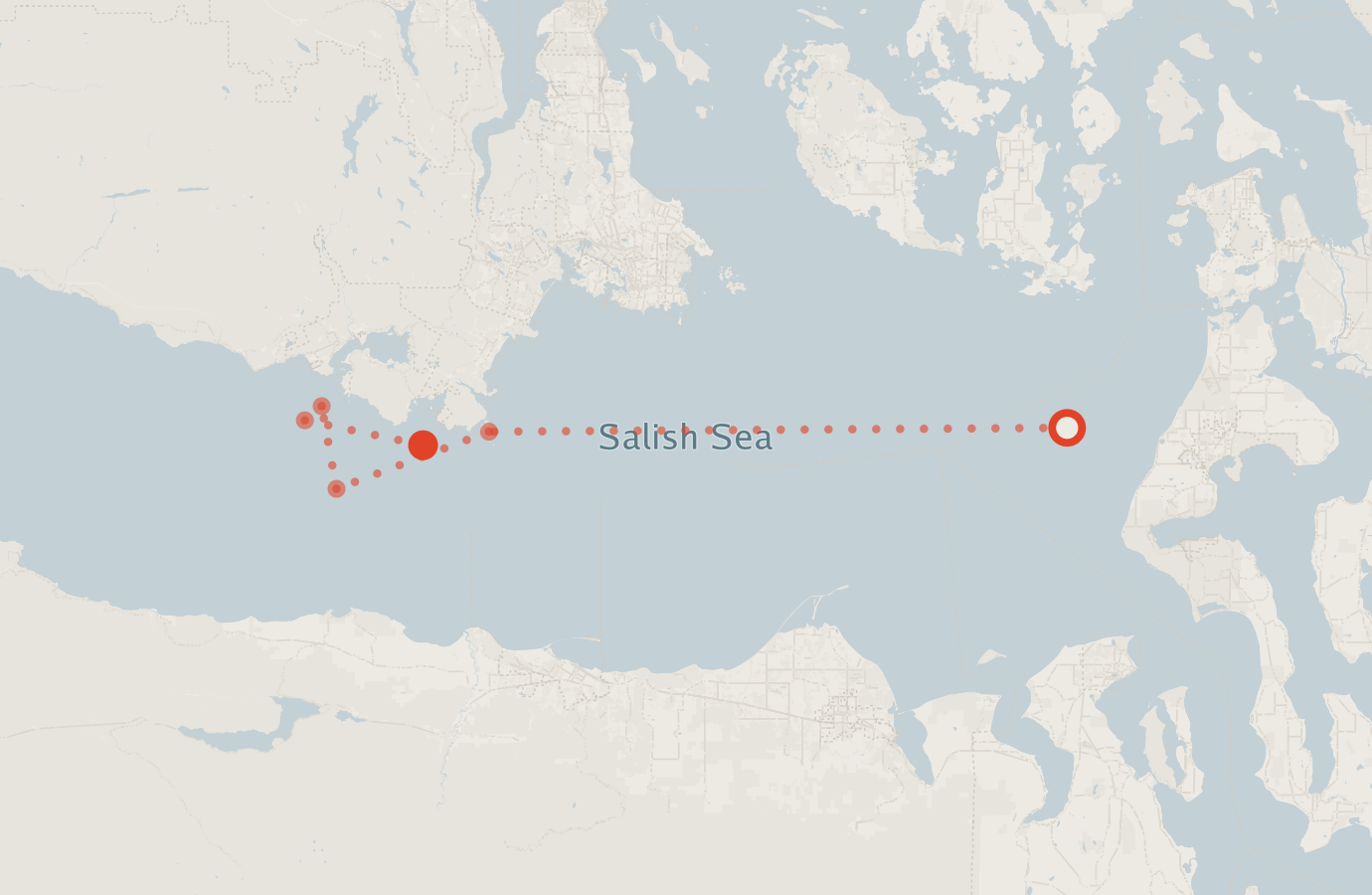 Activity map — real sighting points on an OpenStreetMap basemap