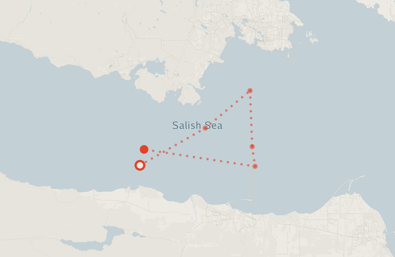 Activity map — real sighting points on an OpenStreetMap basemap
