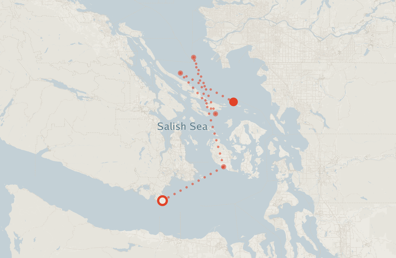 Activity map — real sighting points on an OpenStreetMap basemap