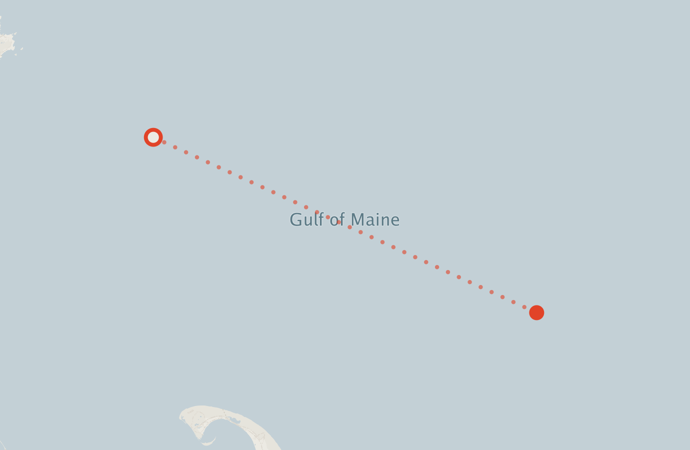 Activity map — real sighting points on an OpenStreetMap basemap