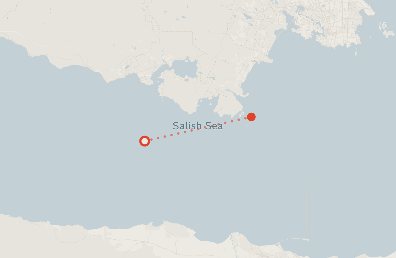 Activity map — real sighting points on an OpenStreetMap basemap