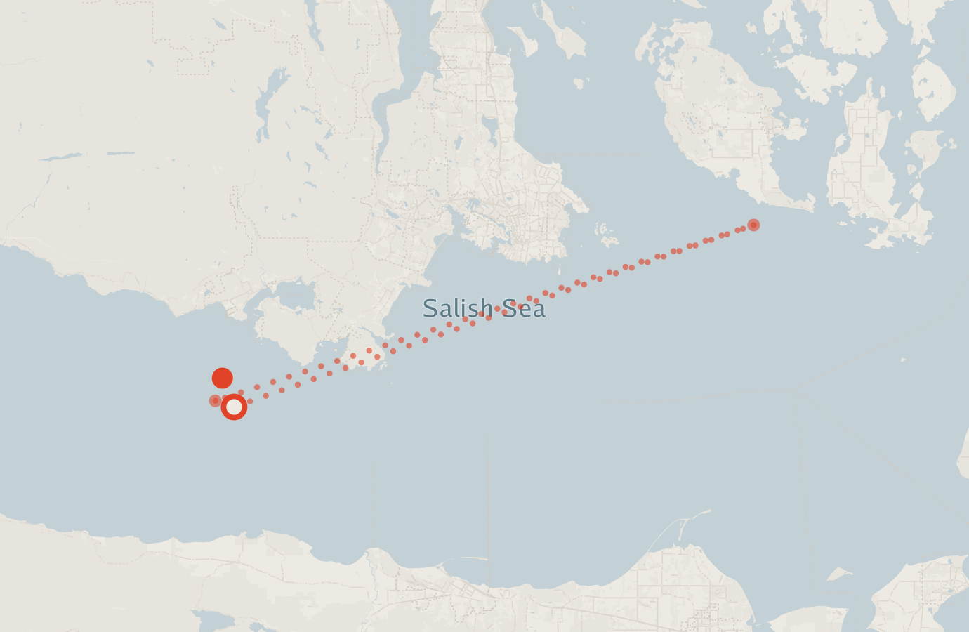 Activity map — real sighting points on an OpenStreetMap basemap