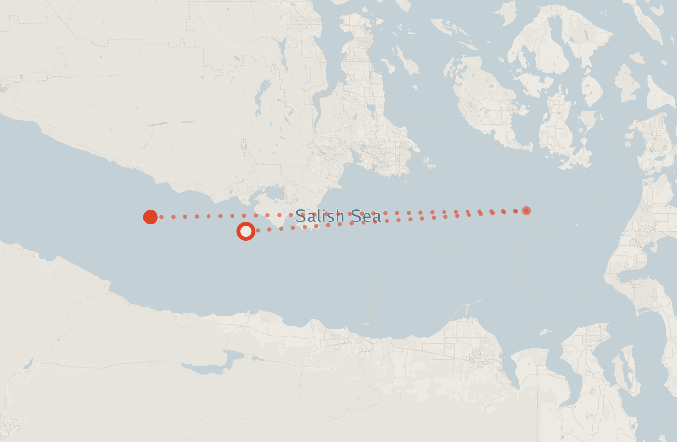 Activity map — real sighting points on an OpenStreetMap basemap