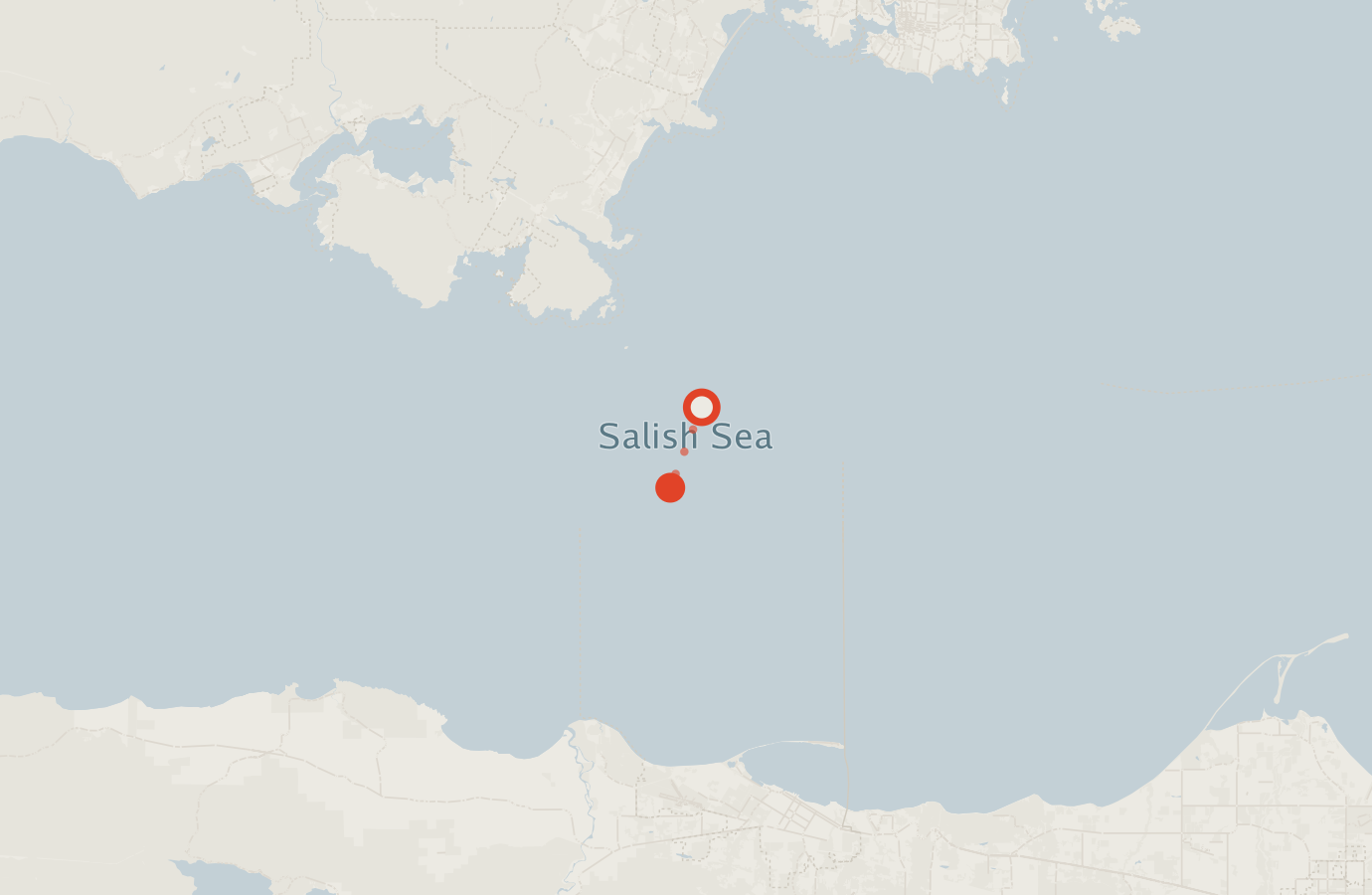 Activity map — real sighting points on an OpenStreetMap basemap