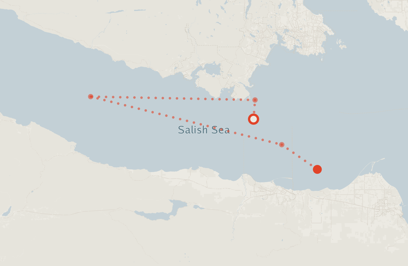 Activity map — real sighting points on an OpenStreetMap basemap