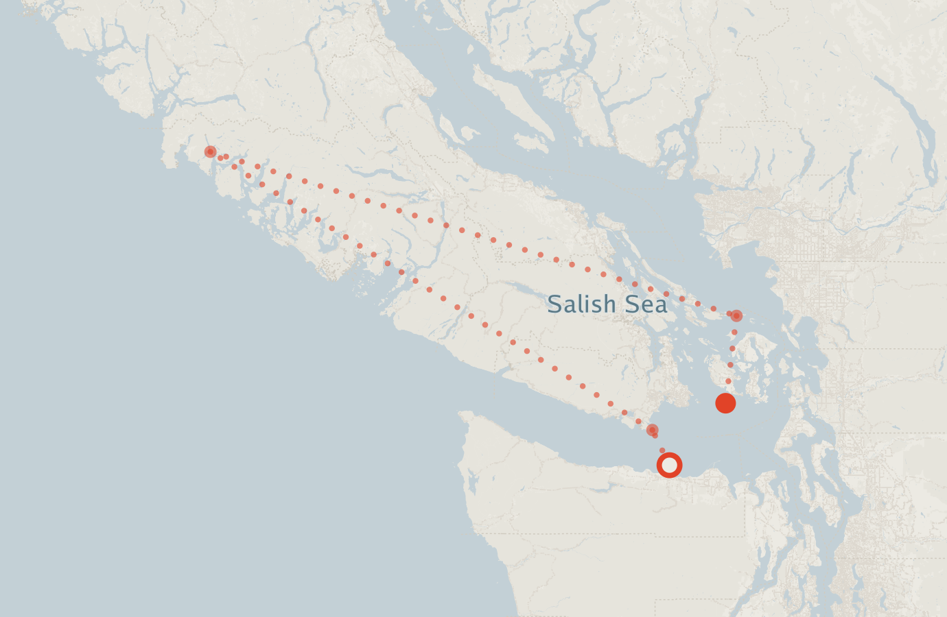 Activity map — real sighting points on an OpenStreetMap basemap