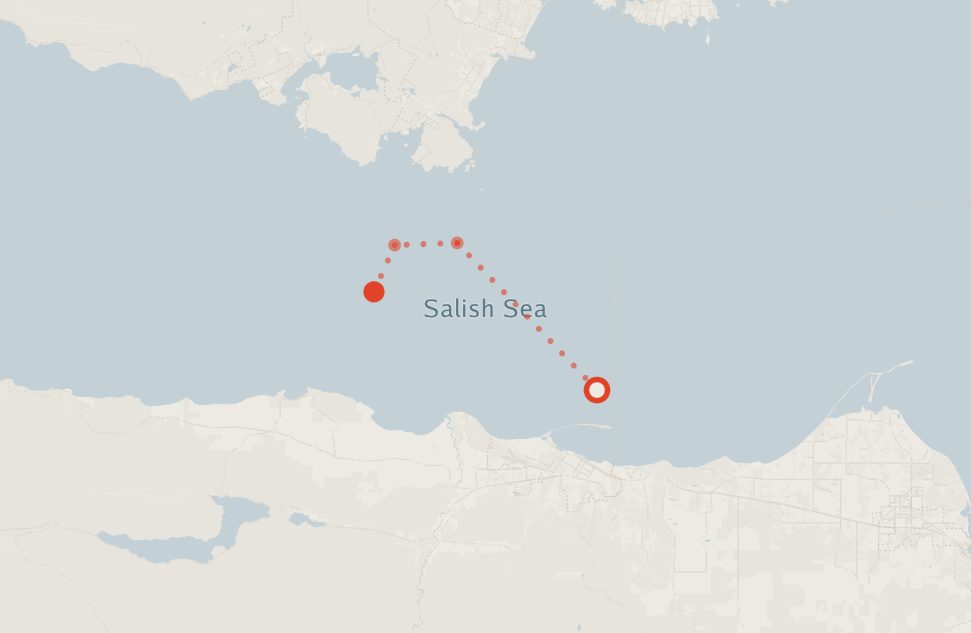 Activity map — real sighting points on an OpenStreetMap basemap