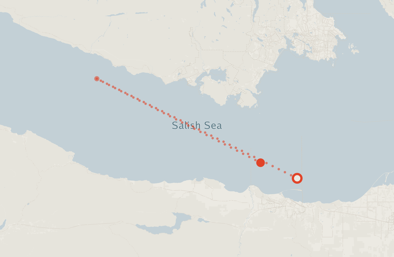 Activity map — real sighting points on an OpenStreetMap basemap