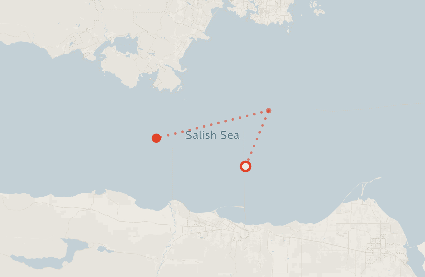 Activity map — real sighting points on an OpenStreetMap basemap