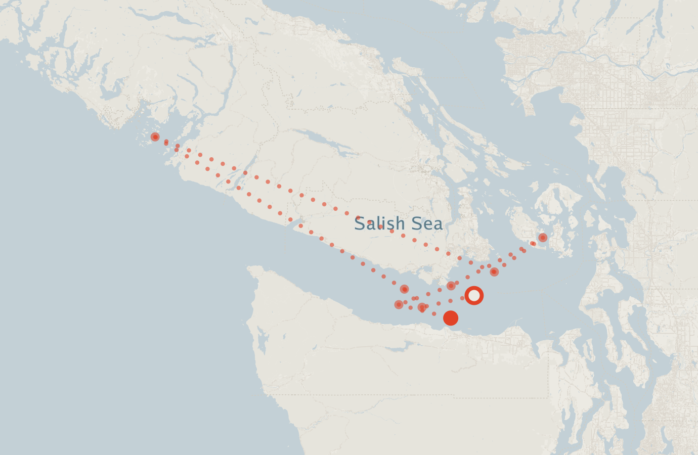 Activity map — real sighting points on an OpenStreetMap basemap