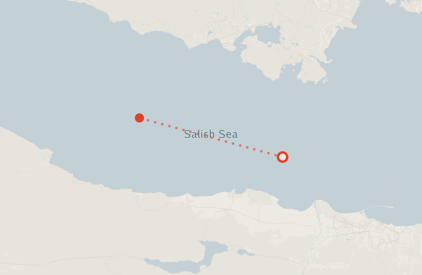 Activity map — real sighting points on an OpenStreetMap basemap