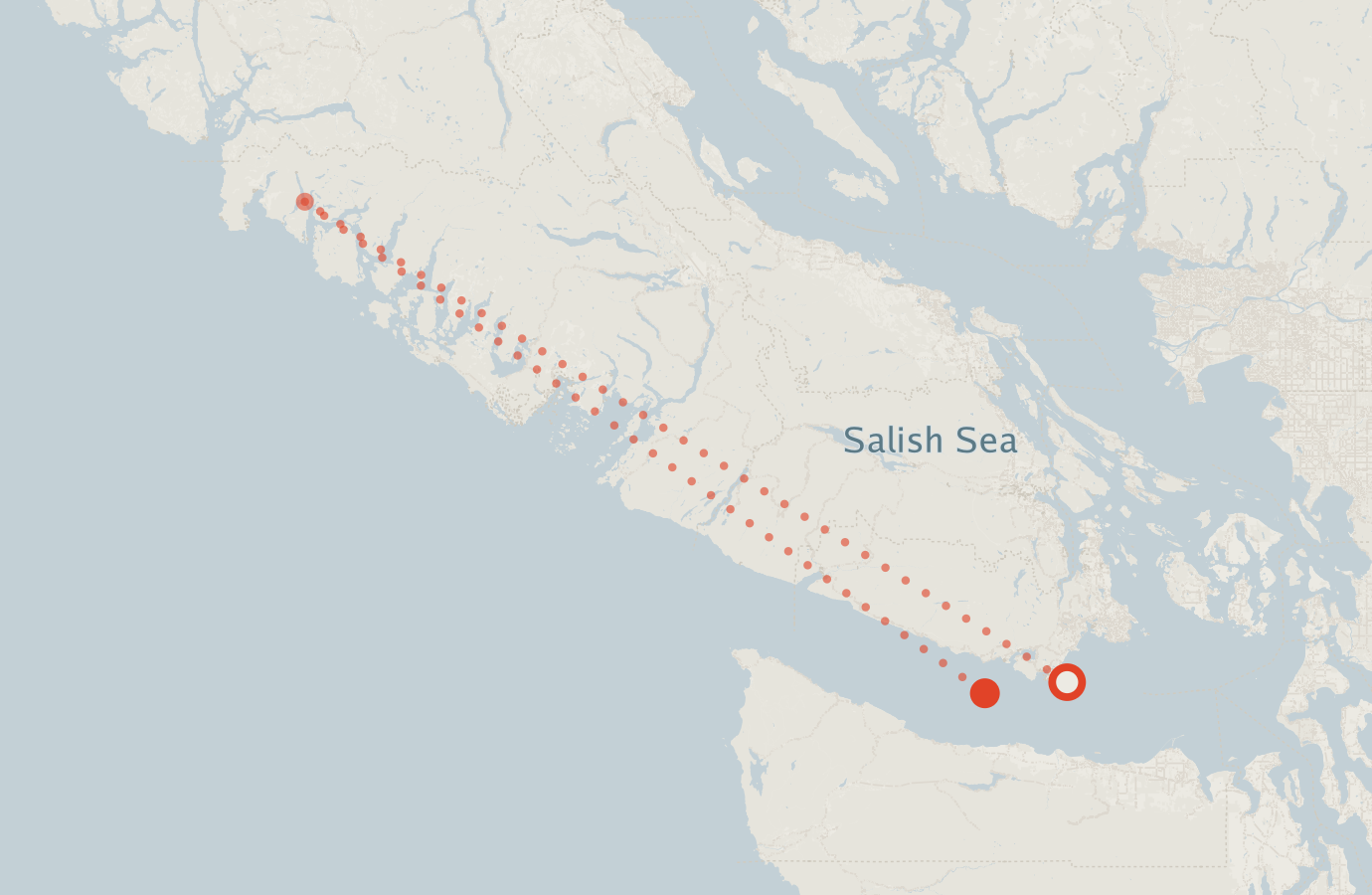 Activity map — real sighting points on an OpenStreetMap basemap