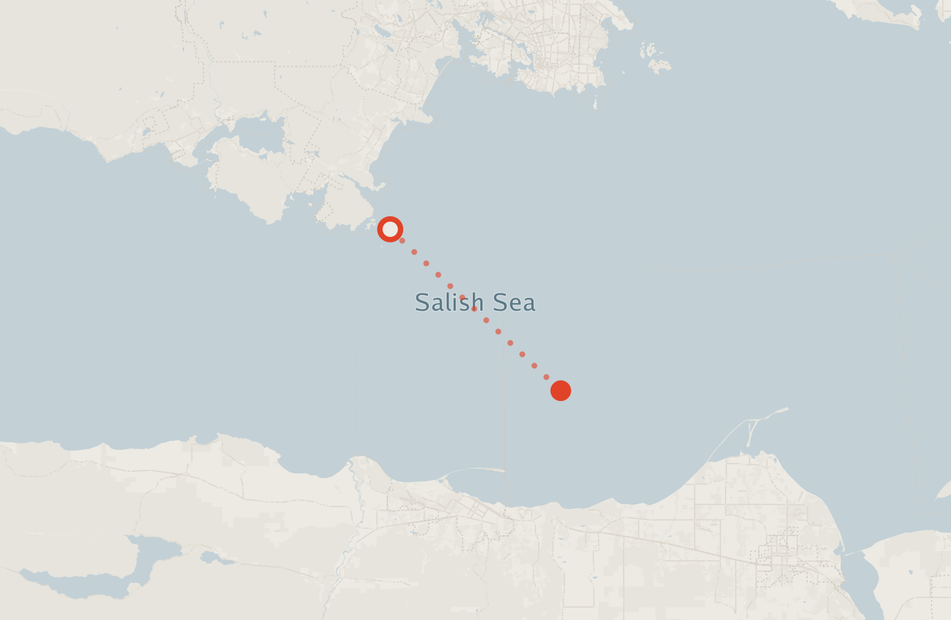 Activity map — real sighting points on an OpenStreetMap basemap